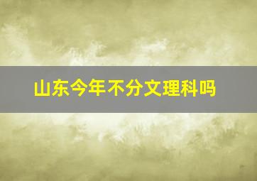 山东今年不分文理科吗