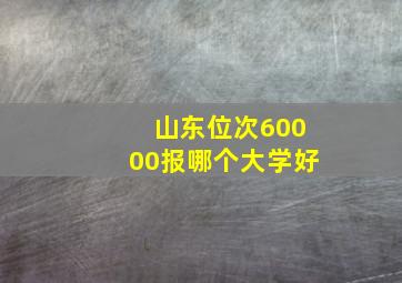 山东位次60000报哪个大学好