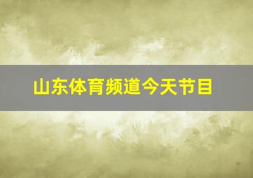 山东体育频道今天节目