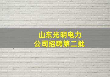 山东光明电力公司招聘第二批