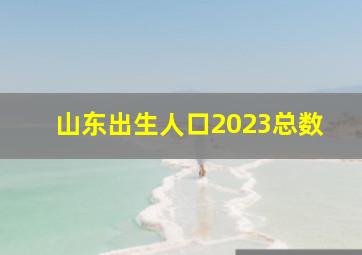 山东出生人口2023总数