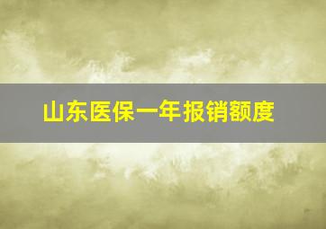 山东医保一年报销额度