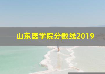 山东医学院分数线2019