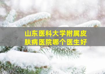 山东医科大学附属皮肤病医院哪个医生好