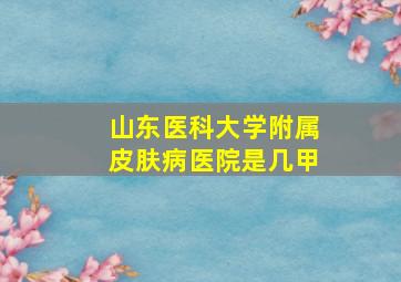 山东医科大学附属皮肤病医院是几甲