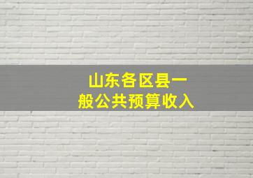 山东各区县一般公共预算收入