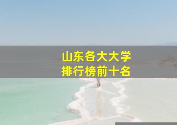 山东各大大学排行榜前十名