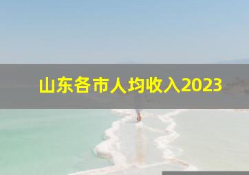 山东各市人均收入2023