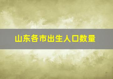 山东各市出生人口数量