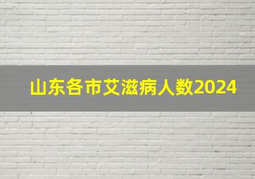 山东各市艾滋病人数2024