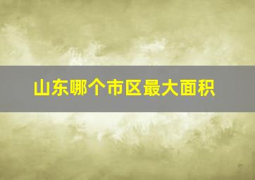 山东哪个市区最大面积