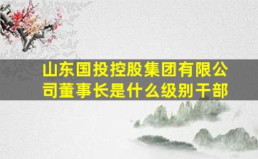 山东国投控股集团有限公司董事长是什么级别干部