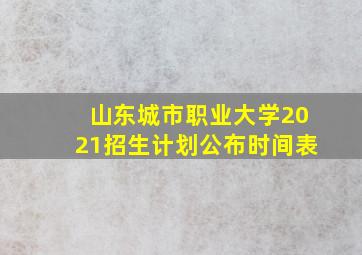 山东城市职业大学2021招生计划公布时间表