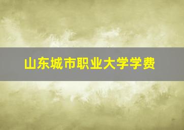 山东城市职业大学学费