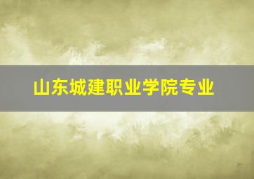 山东城建职业学院专业