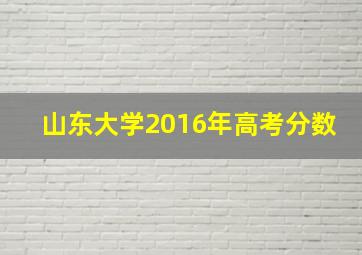 山东大学2016年高考分数