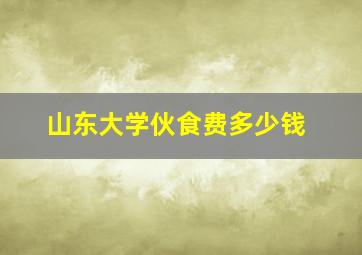 山东大学伙食费多少钱