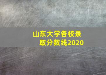 山东大学各校录取分数线2020