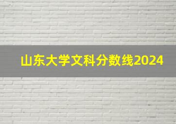 山东大学文科分数线2024