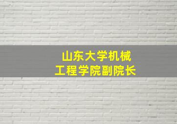 山东大学机械工程学院副院长