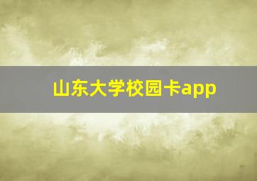 山东大学校园卡app