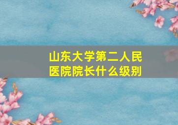 山东大学第二人民医院院长什么级别