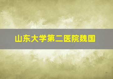 山东大学第二医院魏国