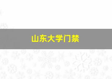 山东大学门禁