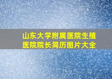 山东大学附属医院生殖医院院长简历图片大全