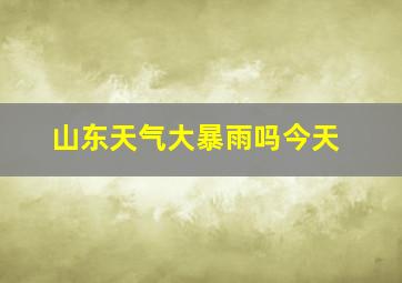 山东天气大暴雨吗今天