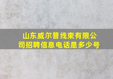 山东威尔普线束有限公司招聘信息电话是多少号