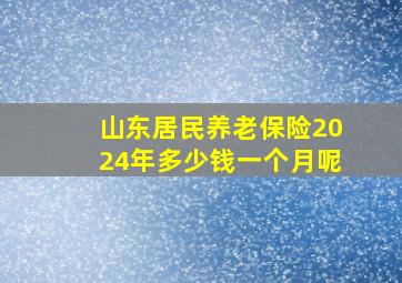 山东居民养老保险2024年多少钱一个月呢