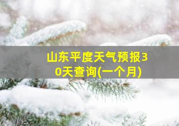 山东平度天气预报30天查询(一个月)