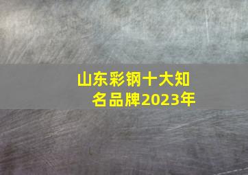 山东彩钢十大知名品牌2023年