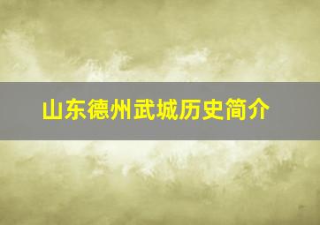 山东德州武城历史简介