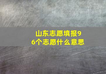 山东志愿填报96个志愿什么意思