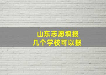 山东志愿填报几个学校可以报