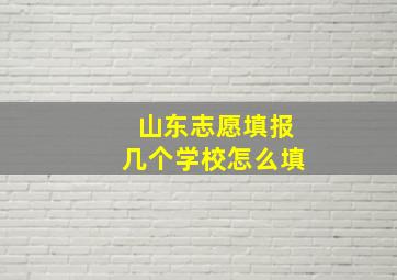 山东志愿填报几个学校怎么填