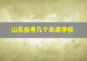 山东报考几个志愿学校