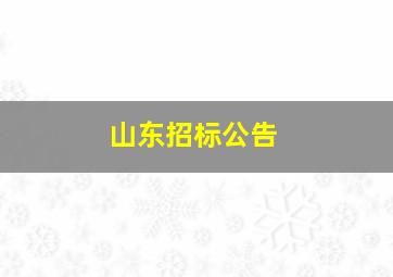 山东招标公告