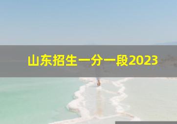 山东招生一分一段2023