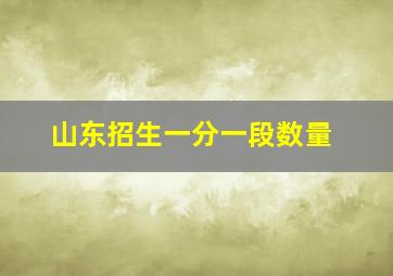 山东招生一分一段数量