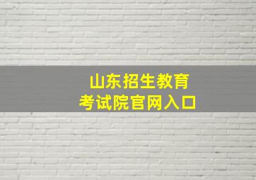 山东招生教育考试院官网入口