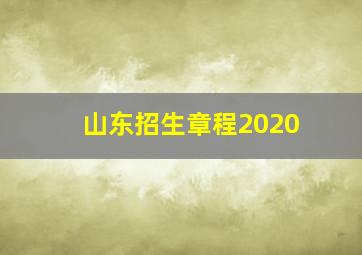 山东招生章程2020