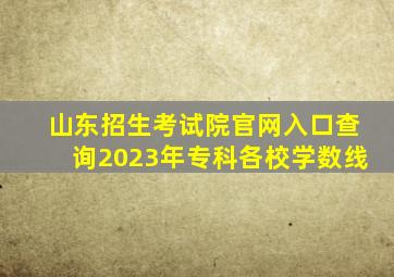 山东招生考试院官网入口查询2023年专科各校学数线