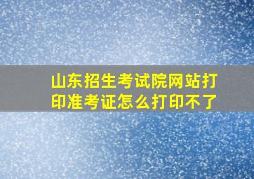 山东招生考试院网站打印准考证怎么打印不了