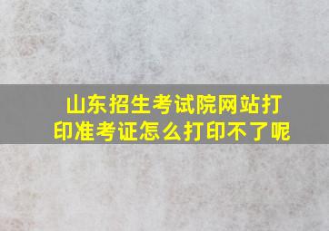 山东招生考试院网站打印准考证怎么打印不了呢