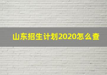 山东招生计划2020怎么查