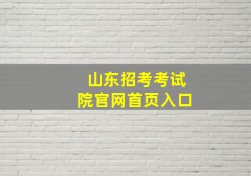 山东招考考试院官网首页入口