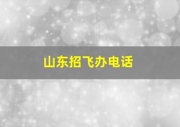 山东招飞办电话